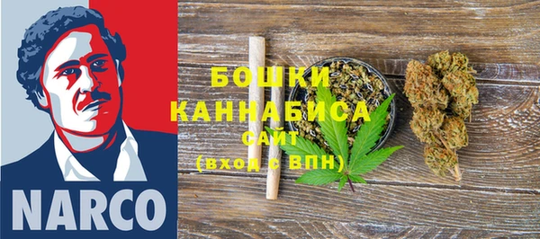 тгк Ладушкин