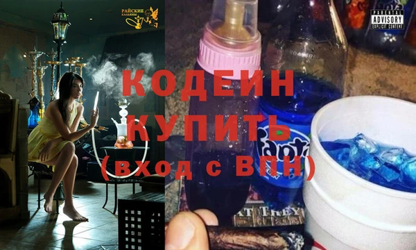 тгк Ладушкин