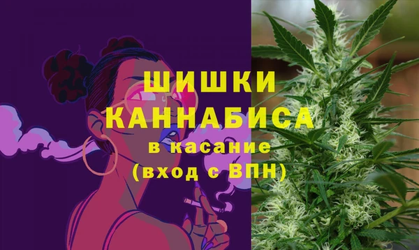 дмт Лабытнанги