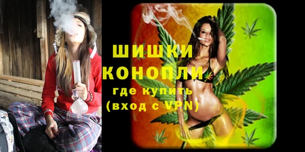 дмт Лабытнанги