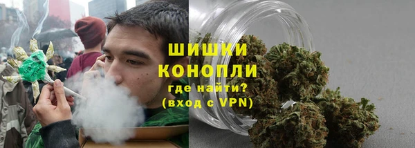 тгк Ладушкин