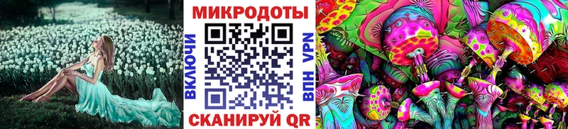 darknet Telegram  Москва  Псилоцибиновые грибы мухоморы  сколько стоит 