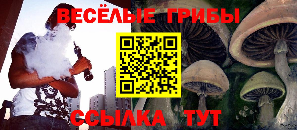 Москва  Галлюциногенные грибы прущие грибы  Вход с VPN  Галлюциногенные грибы Psilocybe 