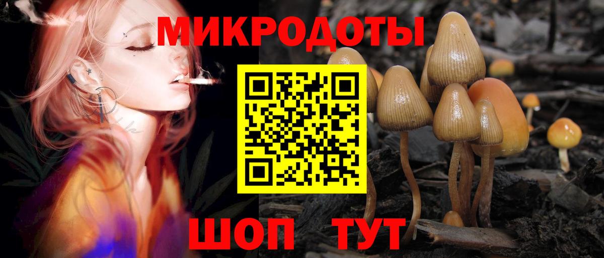 ГАШ Москва